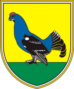 Grb občine Kranjska Gora
